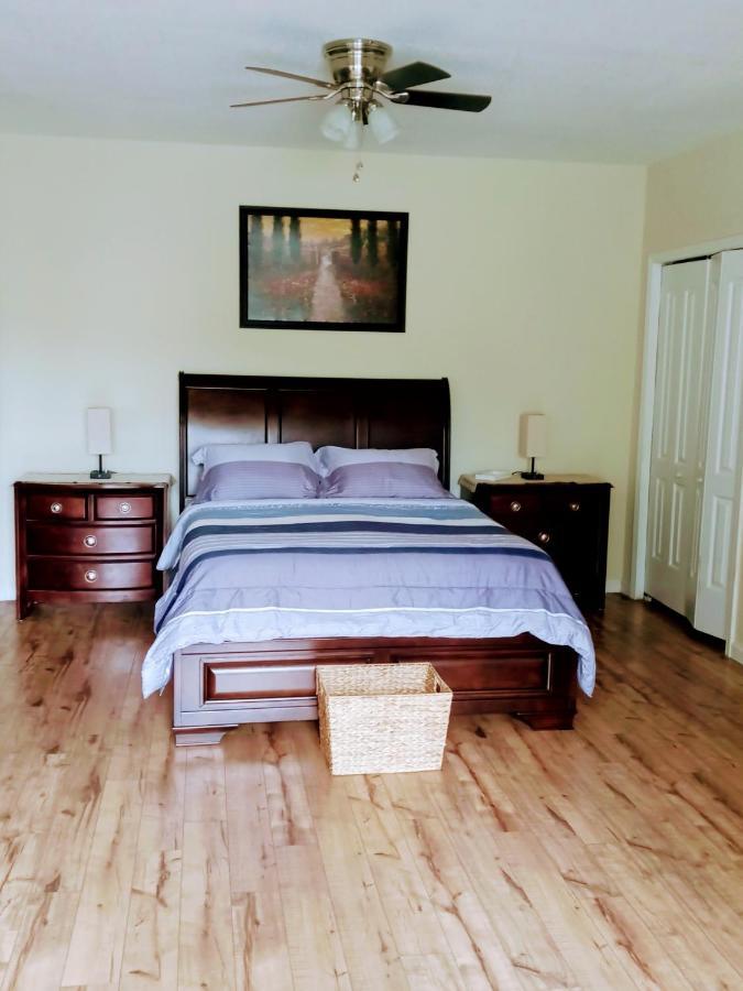 Appartamento Tranquil Creekside Mountain View Getaway Clyde Esterno foto